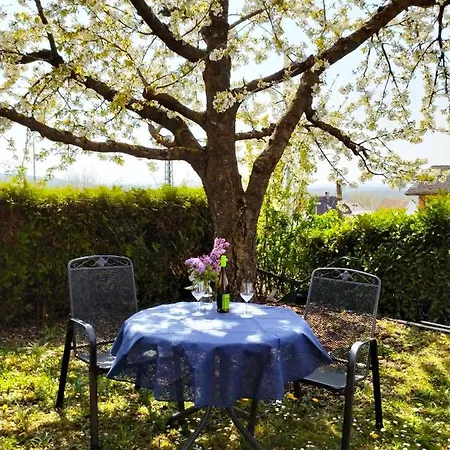 Апартаменты Haus Kramer *